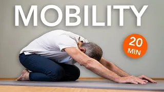 20 minutes of mobility training for every day. Increase your flexibility!