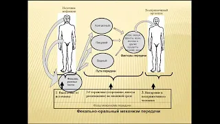 13:50 Эпидемиологическая характеристика группы кишечных инфекций Шигеллезы