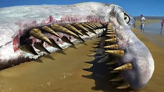 this killed the megalodon…