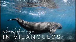 About the Diving in Vilanculos w/ Mozambique Experience.
