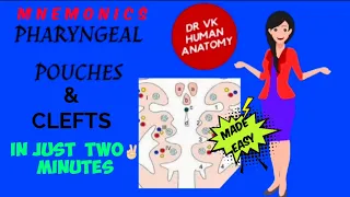 PHARYNGEAL POUCHES😀 & CLEFTS - DERIVATIVES (EASY MNEMONICS)😍 || NEW VIDEO 2021 || Dr Vk Anatomy