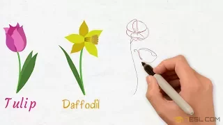 List of Flowers | Learn Names of Beautiful Flowers in English