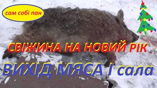 Свіжина під Новий рік  Вихід мяса і сала