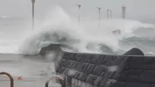 Tropical storm Meari brings heavy rain, strong winds to Japan