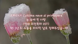 [오독오독]  l'ultima neve di primavera 눈 속에 핀 사랑 / 1년 뒤 오늘을 마지막 날로 정해두었습니다