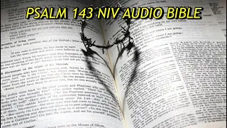 PSALM 143 NIV AUDIO BIBLE (with text)