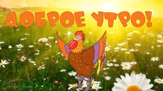 ☕️ Доброе утро! Красивое пожелание доброго утра и хорошего дня! Музыкальная видео открытка.