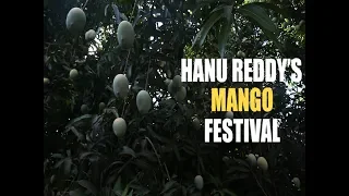 At this Chennai farm, you can pick your mangoes and eat them too!
