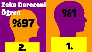 Zeka Dereceniz Kaç? 14 Soru ile Zeka Testi Puanlı