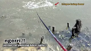 Ngerri.!! Jeritan Rel pancing bikin ngilu, ikan kakap besar ahirnya bisa dikalahkan.!!