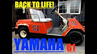 Yamaha G1 Golf Cart REVIVAL!
