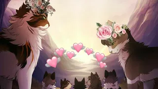Коты Воители клип~Lovely ( RUS Cover )