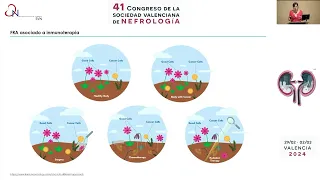 Conceptos de Onconefrología para Dummies.