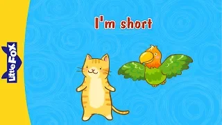 I'm Short | Learning Songs | Conversation 2 | Little Fox | Bedtime Stories