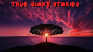 3 True Scary Stories to Keep You Up At Night (Vol. 29)