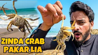 ZINDA CRAB PAKAR LIA 😱| MUSTAFA HANIF | SYED FAHAD | MISHKAT KHAN