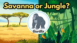 Jungle OR Savanna Animals ? | A-Z Animals