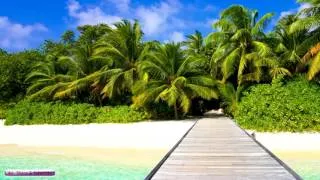 Reggae Music | Heart of the Island | Relax, Study & Ambience