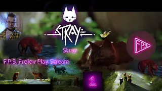 Прохождение Игра Stray Part 1 про рыжего котика - Персик :) #fpsfrolovplaystream