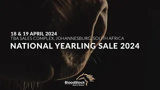 NATIONAL YEARLING SALE 2024 | DAY 1