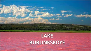 Lake Burlinskoye 🌊| Pink Lake💗| Siberia | The Sathya and Shunmy Talkies❤️