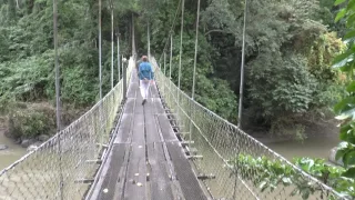 Borneo   Danum Valley   Borneo Rainforest Lodge #6 Suspension Bridge   15 May 2017