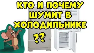 ПОЧЕМУ ШУМИТ ХОЛОДИЛЬНИК ?