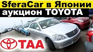 Аукцион от TOYOTA - TAA YOKOHAMA! Сравниваем с USS. Подход Тоёты ПОРАЖАЕТ!