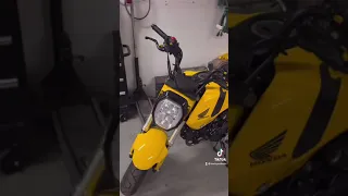 Stretched 2022 Honda Grom!