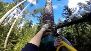 Норвежский парк Орех. GoPro Неro 4. зеленые, синие, красная, черная трасса