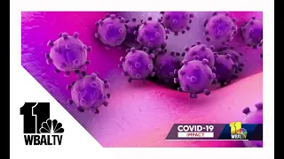 Hopkins experts look toward future of COVID-19