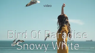 Snowy White - Bird Of Paradise (video)