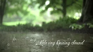 Relaxing Raining Sound. Reduce la ansiedad y mejora tu paz interior con el sonido de la lluvia