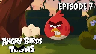 Angry Birds Toons | Just So - S2 Ep7