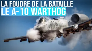 Le tueur de chars | A-10 Warthog