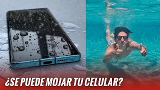 Celulares resistentes al agua: ¿qué tengo que saber?