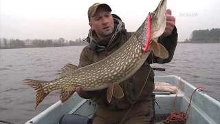 Jerkbait Angeln auf Winterhechte an der Havel