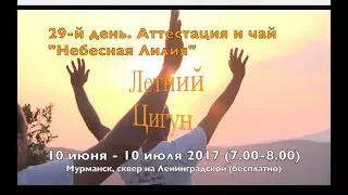 ЛЕТНИЙ ЦИГУН (29-й ДЕНЬ). АТТЕСТАЦИЯ И ЧАЙ "НЕБЕСНАЯ ЛИЛИЯ"