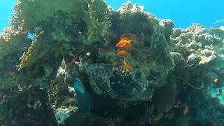 Diving to the caves, Eilat