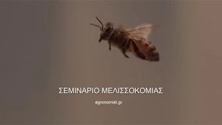 Σεμινάριο Μελισσοκομίας