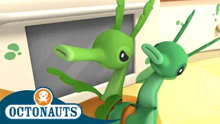 Octonauts - The Leafy Sea Dragons | Cartoons for Kids | Underwater Sea Education