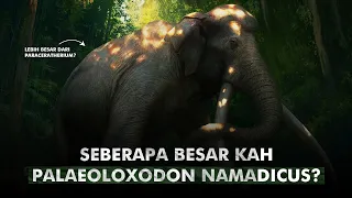 Benarkah Gajah Purba Ini Adalah Mamalia Darat Terbesar di Bumi? | Palaeoloxodon Namadicus