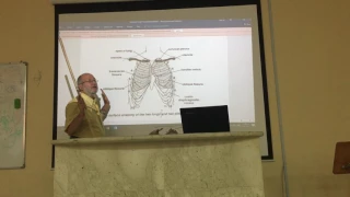 Respiratory module 29 ( Lung , part 6 ) by , Dr. Wahdan