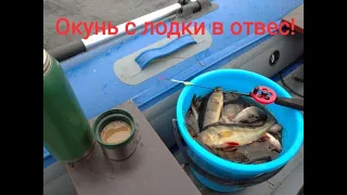 Окунь  с лодки в отвес на балансир ,блесну и живца !!!