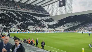 Wor Flags display, Newcastle United #NUFC