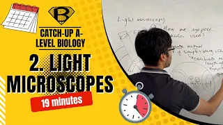 Catch-up A level biology: light microscopes