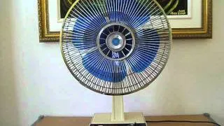 1976 Electrohome 30 cm (12'') Desk Fan