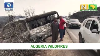 Sierra Leone Protests Update, Algeria Wildfires | Network Africa