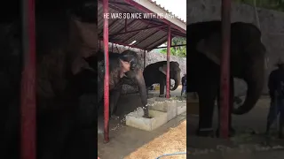 Арина Соболенко помыла слона в Таиланде