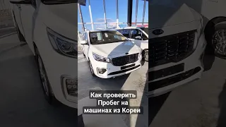 Киа Карнивал проверяем пробег. #артемзайцев #автоподборкраснодар